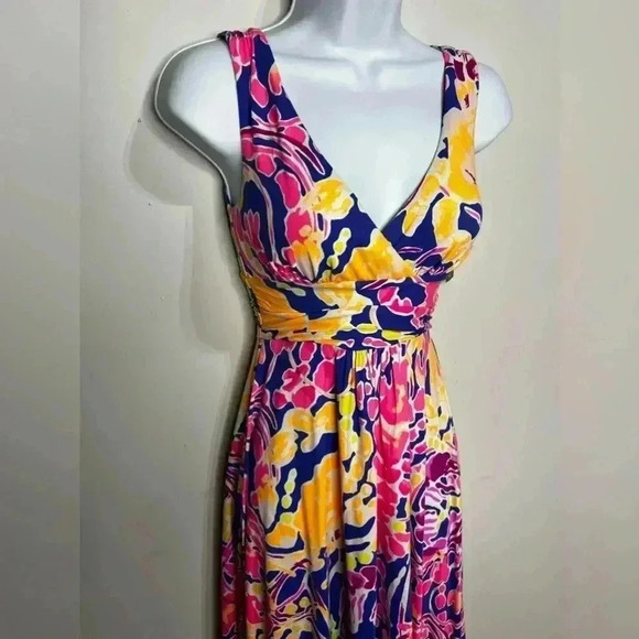 NWT Lily Pulitzer Sloane Midi Dress Catch and Release Size XXS - Picture 2 of 8